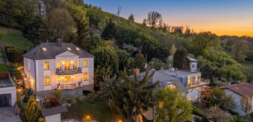 Elegant Villa For Sale In Vienna’s 13th District, Hietzing