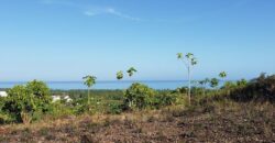 Prime 10,000 m² Development Land in Coson, Las Terrenas, Terrenas