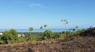 Prime 10,000 m² Development Land in Coson, Las Terrenas, Terrenas