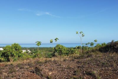 Prime 10,000 m² Development Land in Coson, Las Terrenas, Terrenas