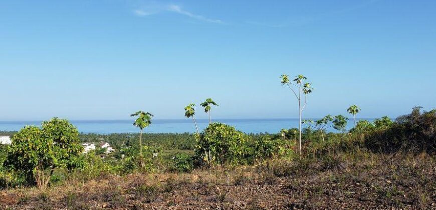 Prime 10,000 m² Development Land in Coson, Las Terrenas, Terrenas