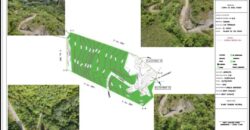 Prime 10,000 m² Development Land in Coson, Las Terrenas, Terrenas